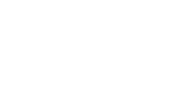 Sca.auction